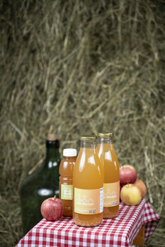 Bio-Süssmost - Stiftung Bühl