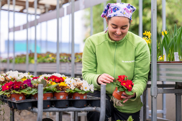 Bio-Gärtnerei - Stiftung Bühl - Salat