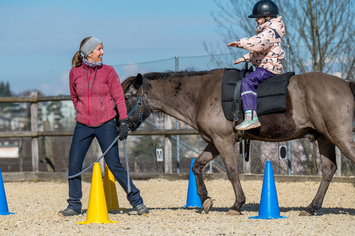Heilpädagogische Reiten - Stiftung Bühl - Pferde bei Sonnenuntergang