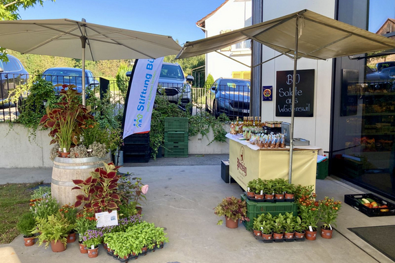 Marktstände der Bio-Gärtnerei